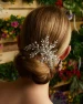 Marionat Bridal 9345 Rhinestone spray clip - Silver