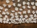 Marionat 3954 Glitter Flower Veil – 130"