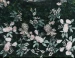 Marionat 3992 Floral Lace Applique Veil – 120"
