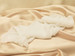 En Vogue Bridal Detachable Sleeves | SL2610