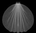 LC Bridal Style V682-120 - One Tier Fingertip Hemmed (Pencil, Finished) Edge Veil - 36" Long