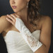 Embroidered Fingerless Bridal Gloves GL-8001-8E