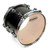 Evans 13" G1 Clear