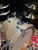 Gretsch Catalina Club - Sahara Sparkle (20", 12", 14" + 14" Snare) Drum Kit Shell Set