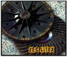 ZEC LITEX DISC