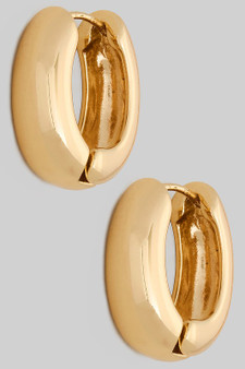 Small Oval Hoop Earrings