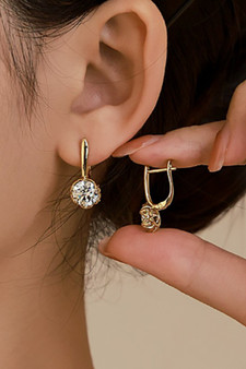 Zircon Stone Hoops