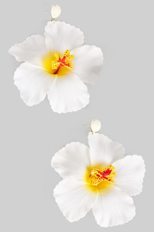 Lightweight Tropical Flower Drop Earrings