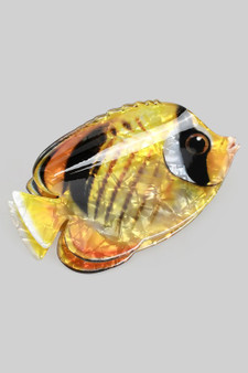 Yellow Butterfly Fish Hair Clip