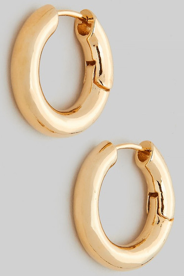 Brass Hinge Hoop Earrings