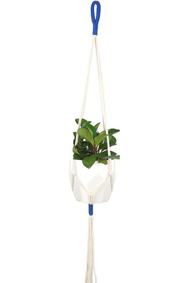  Plant Holder.
