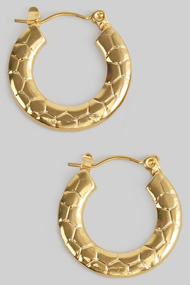 Stainless Steel Snake Skin Hoops