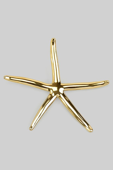 Stainless Steel Starfish Brooch Pin