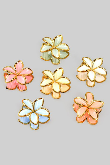 Six Piece Pastel Acrylic Flower Hair Clip Set