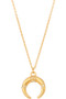 Cz Horn Pendant Nekclace