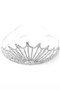 Crystal Rhinestone Covered Crown