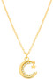 Crescent Moon Pedant Dainty Necklace