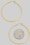Metallic Pincatch Hoop Earrings