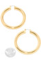 Hypoallergenic Pincatch Hoop Earrings
