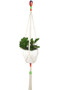  Plant Holder.