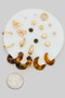 Ten Pair Studs And Resin Hoop Earring Set