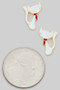 Dainty Cat Studs