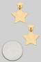 Star Dangle Post Earrings