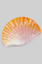 Lightweight Sea Shell Hair Clip