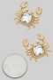 Glass Stone Crab Studs
