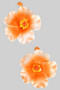 Lightweight Tropical Flower Drop Earrings