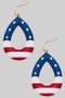 Usa Enamel Teardrop Fish Hook Earrings