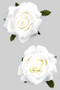 White Rose Bud Fabric Post Earrings