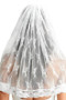 Floral Pattern Lace Veil With Hair Comb