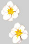 Lacquered Brass Flower Drop Earrings