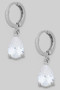 Mini Hoops With Lavish Teardrop Cz Stone