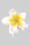 Lavish Marbled Acrylic Tropical Flower Hair Clip