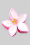 Tropical Flower Acrylic Hair Clip