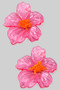 Acrylic Island Flower Post Earrings
