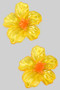 Acrylic Island Flower Post Earrings