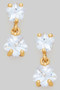 Cz Studs With Cz Charm