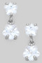 Cz Studs With Cz Charm
