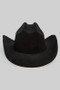 Buttery Soft Suede Like Cowboy Hat