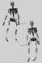 Dangling Skeleton Post Earrings