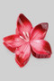 Tropical Flower Acrylic Hair Clip