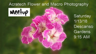 ​Come join us for some fun and flower and macro photography.