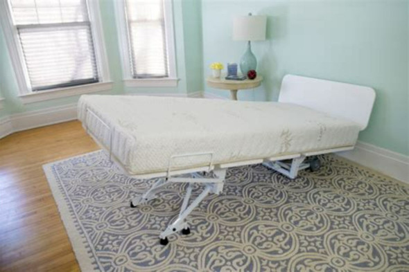 Transfer Master New Valiant Adjustable Bed