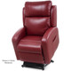 PR750 Golden EZ Sleeper Slim