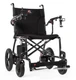 Travel Buggy F24 FlightWeight - Only 24lbs!!!