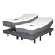 Golden Passport Hi Low Adjustable Bed