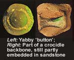 yabbyandcroc.jpg